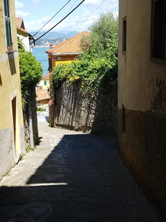 Carugio Del Fezzano Bed & Breakfast Dış mekan fotoğraf
